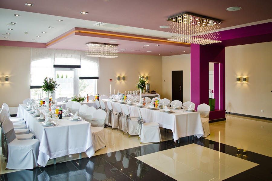 Hotel Podkowa Плоцк Экстерьер фото